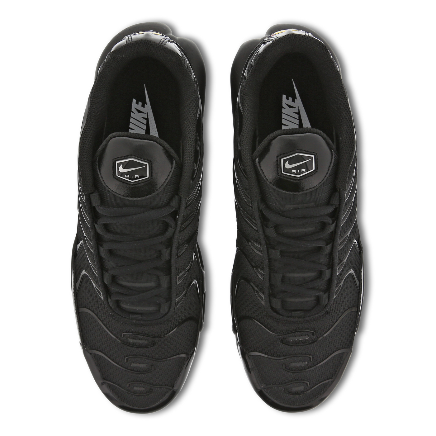 TN Triple Black