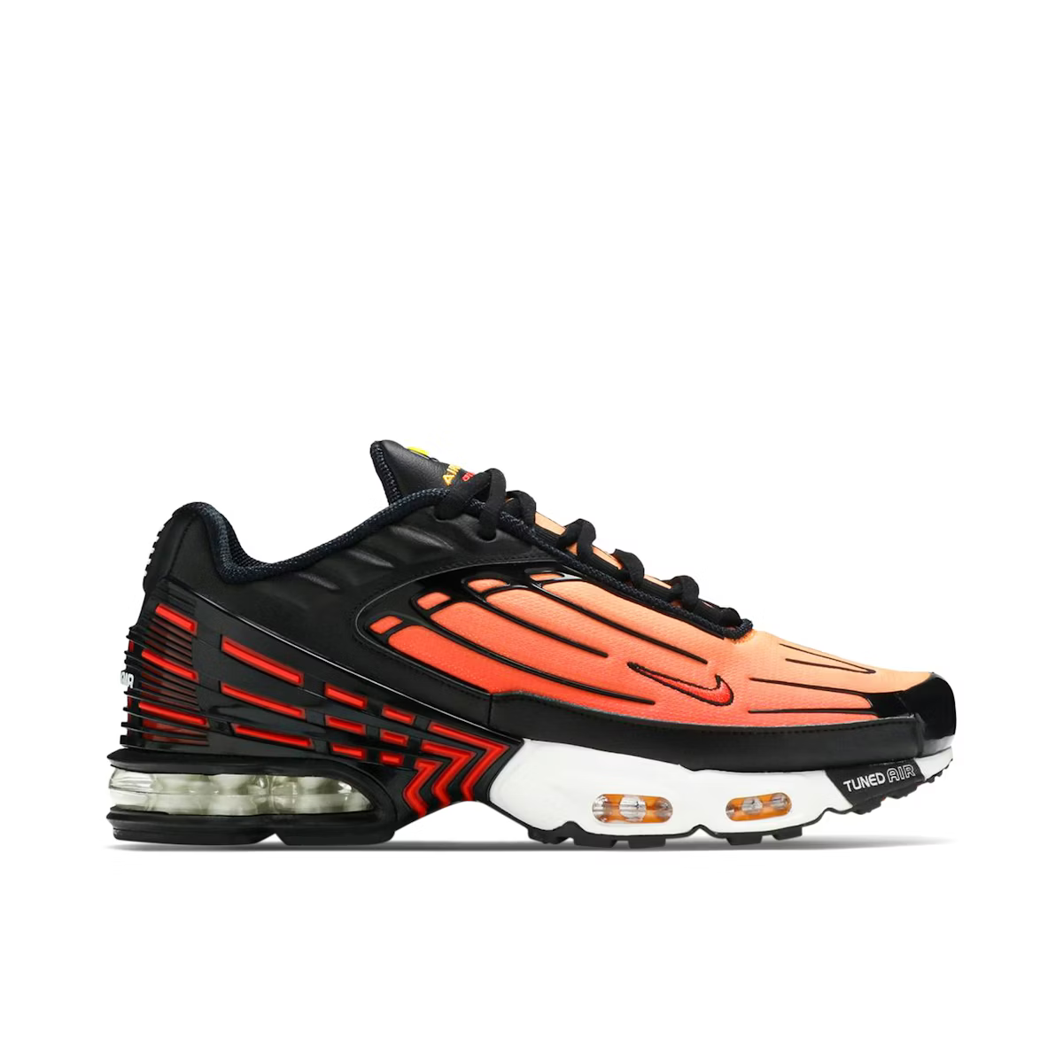 TN 3 Tiger